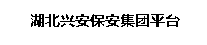 湖北兴安保安集团